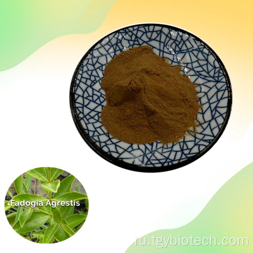 Fadogia Agrestis Stem порошок Fadogia extract agrestis